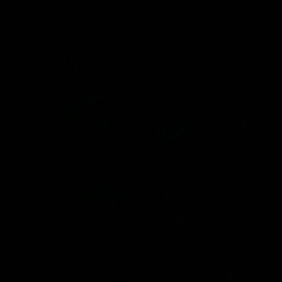 Meet your Posher, Susie - Picture 1 of 1